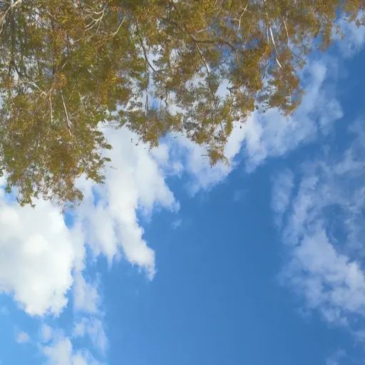 creator Jake the cake 🎂's avatar