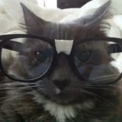 creator ✰catty✰'s avatar