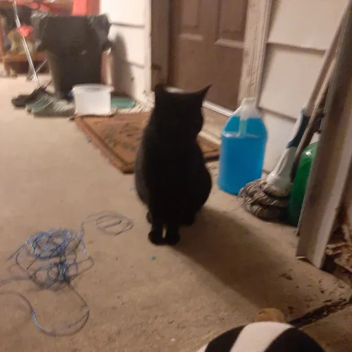 creator 💫heartsformybaby💫's avatar