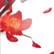 chat with ai character: Jesse