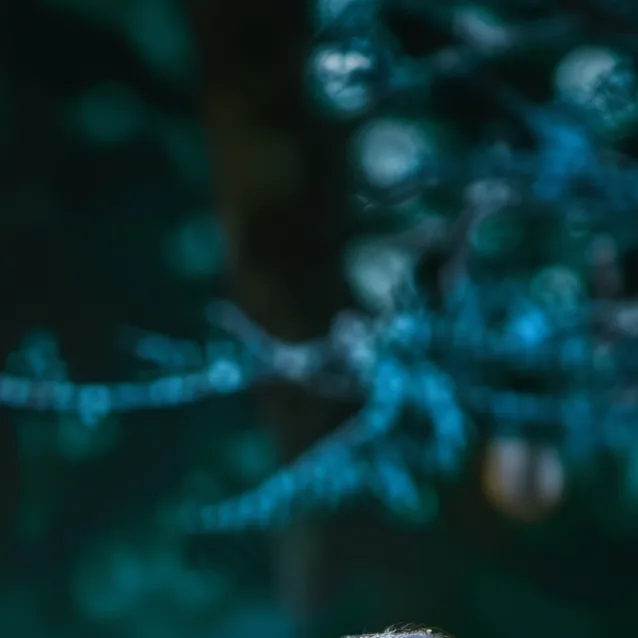 chat with ai character: Sarah