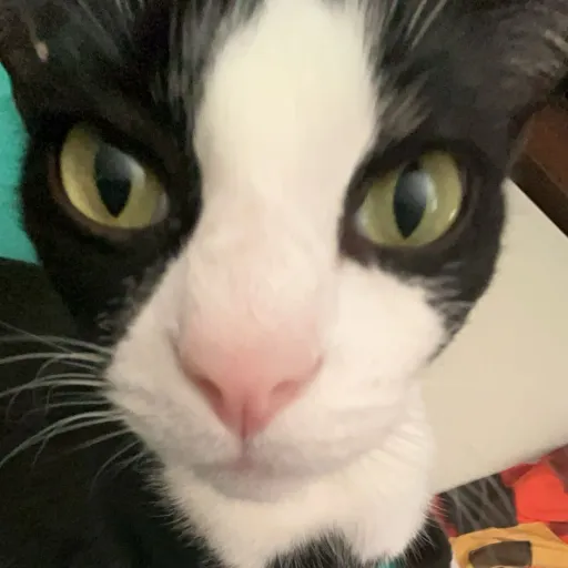 creator |[byee]|'s avatar