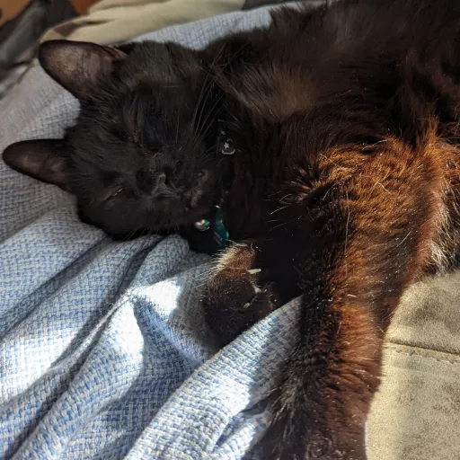 creator Wh0lesome's avatar