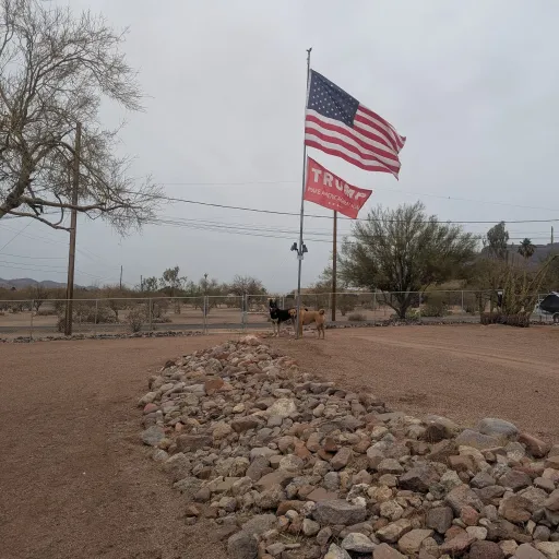 creator 🌙🌸A z u r e 🌼🌙's avatar