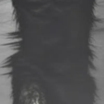 chat with ai character: Skin walker