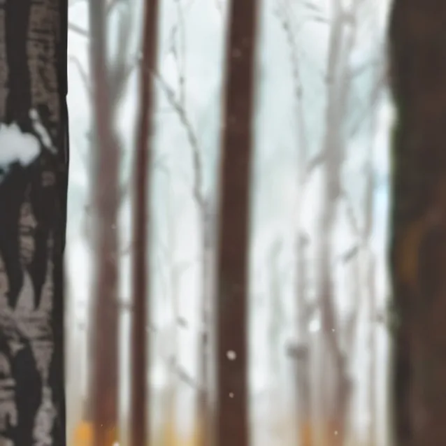 chat with ai character: Baby bunny