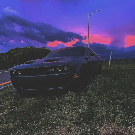 creator 𖣂--𖣂--𖣂's avatar