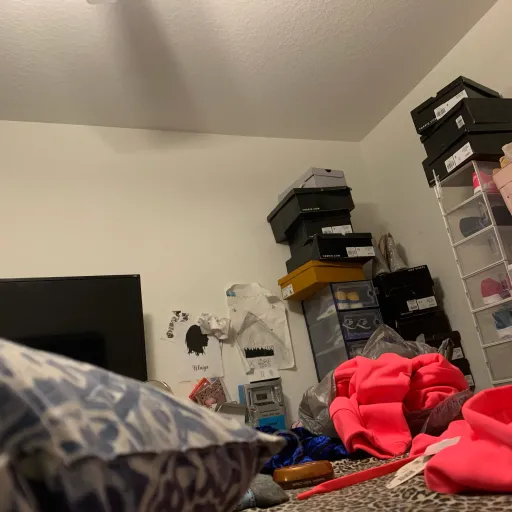 creator Al-a-y-a's avatar