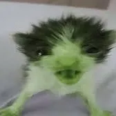 creator Gnarp gnarp >-<'s avatar