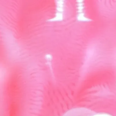 chat with ai character: Sans and papyrus!