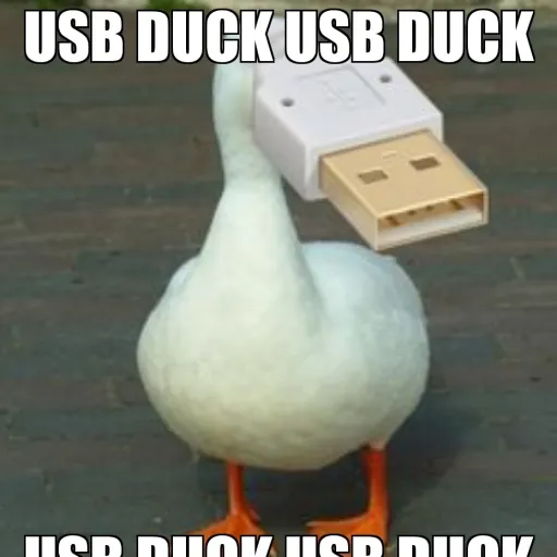 creator that furry fox guy's avatar