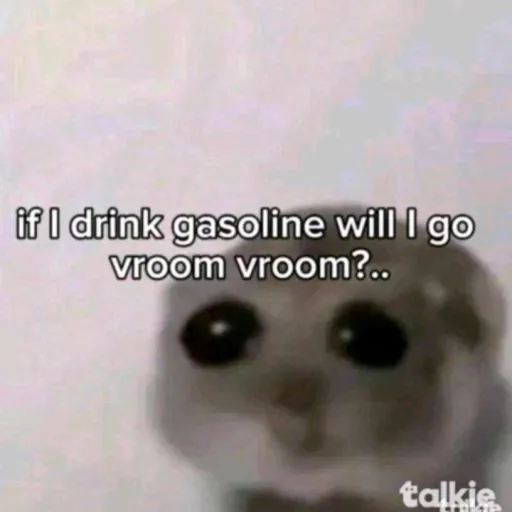 creator sara_sundool's avatar