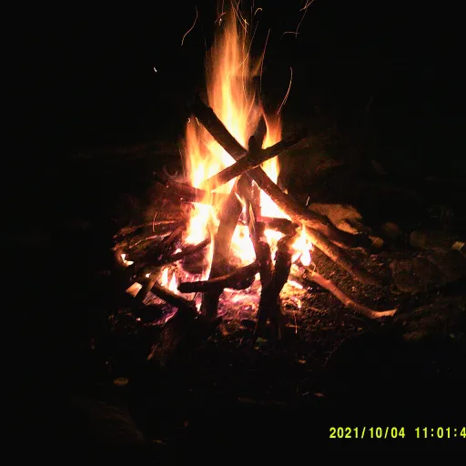 creator The Ugly Patoo's avatar