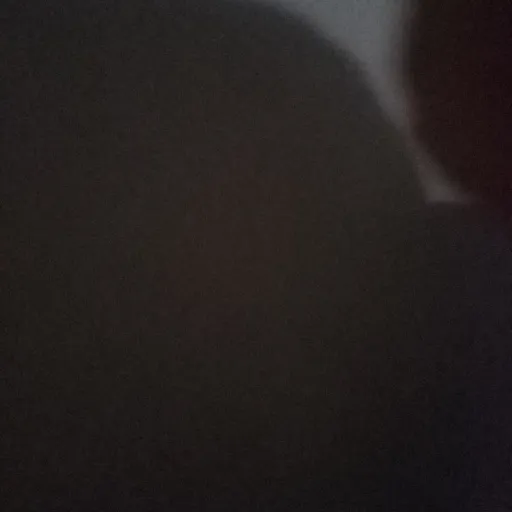 creator DANDYISCOIMGFORYOU's avatar