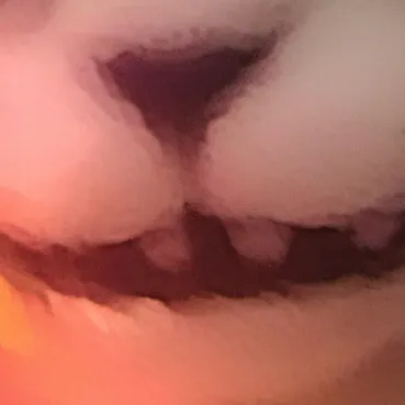 chat with ai character: Cartoon cat