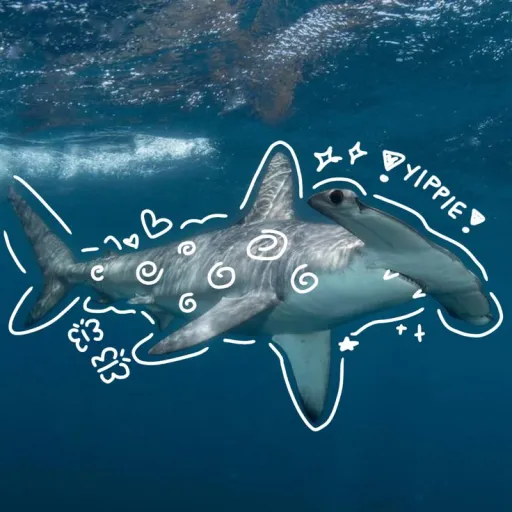 creator Giggles_shark's avatar