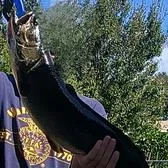 creator riv_2356's avatar