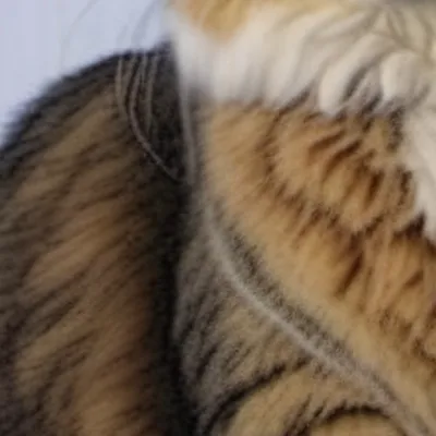 chat with ai character: Cat,