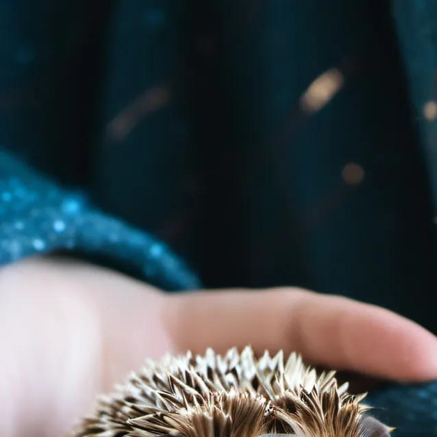 chat with ai character: potatoe