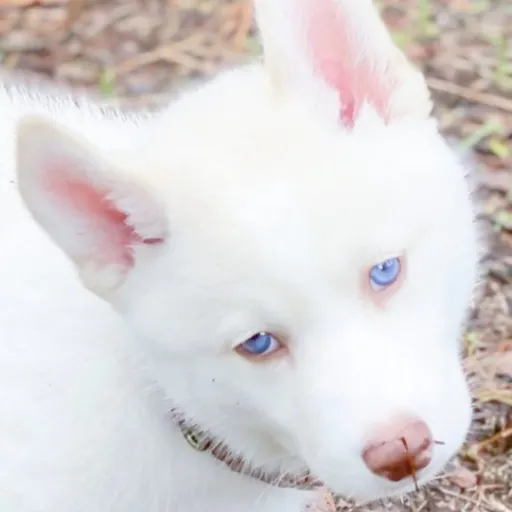 creator sLAy QuEEn ✨'s avatar