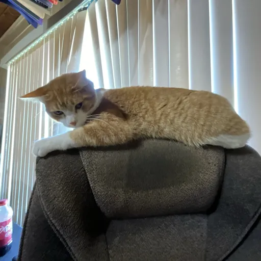 creator Justingaming's avatar