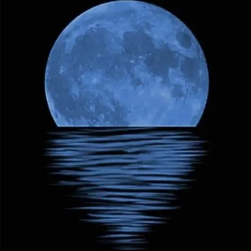 creator MermaidQueen2014's avatar