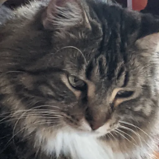 creator VeltaIsInYourWalls's avatar