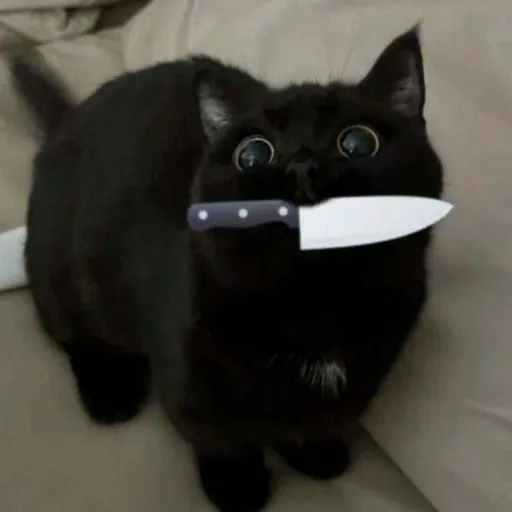 creator Thomas Walker5472's avatar