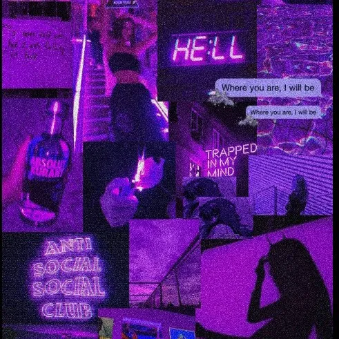 creator Hailey butterflies's avatar