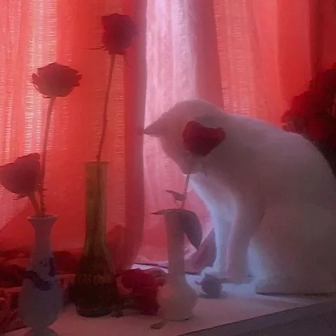 creator Gojo_simp2.0's avatar