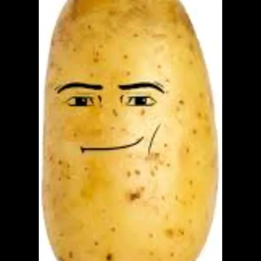 creator 🌊Kaib_love_WATER🌊's avatar