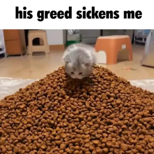 creator crumsy's avatar