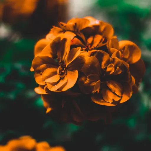 creator Maureennnnn's avatar