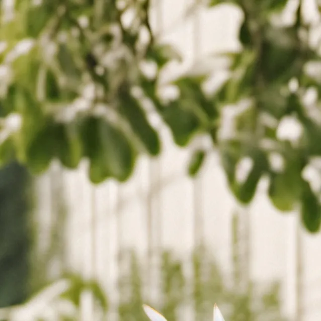 chat with ai character: hi it's saddness 