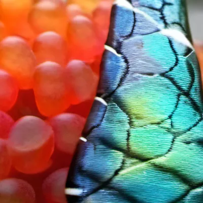 chat with ai character: Radioapple car