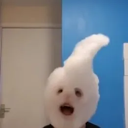 creator eloise×deku=💜💚's avatar