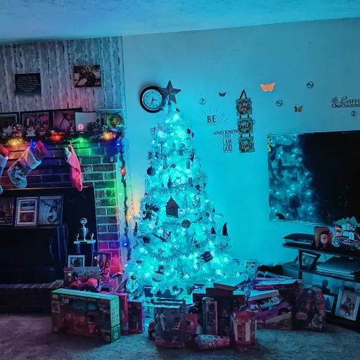 creator stella prina's avatar