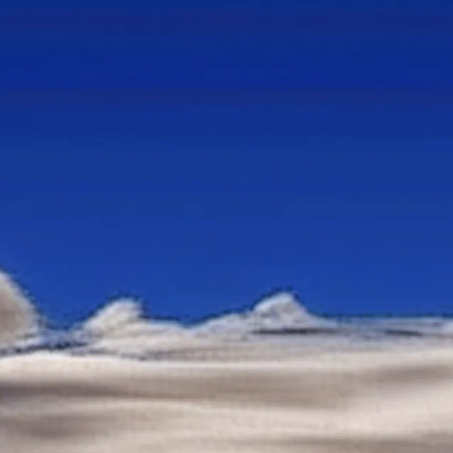 chat with ai character: president family 