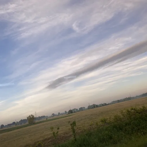 creator Emerald_Luvsall<3's avatar