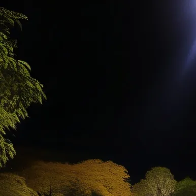 chat with ai character: ... 