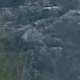 creator Swifty for life's avatar