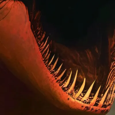 chat with ai character: Scarface