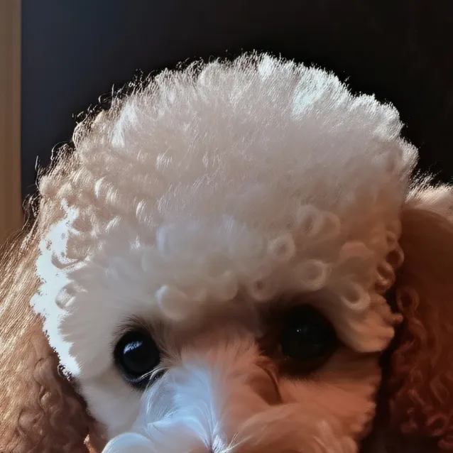 chat with ai character: Eclipse.