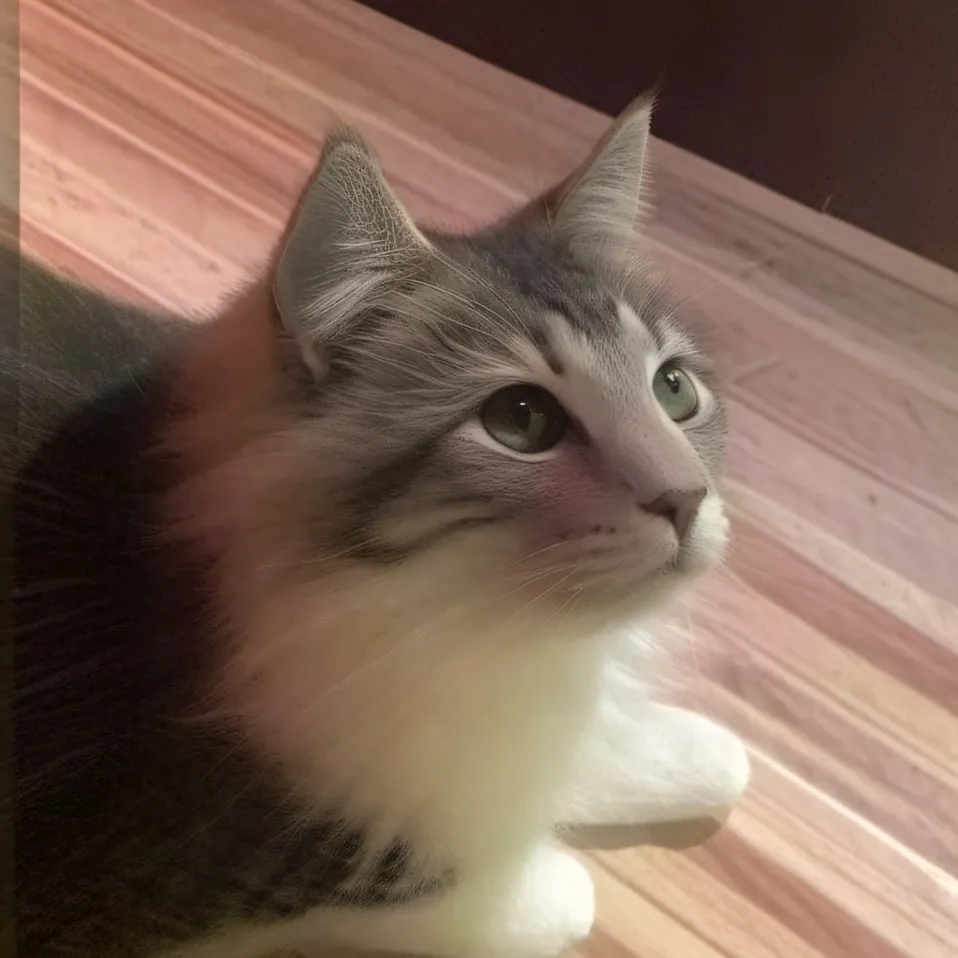 chat with ai character: Beluga