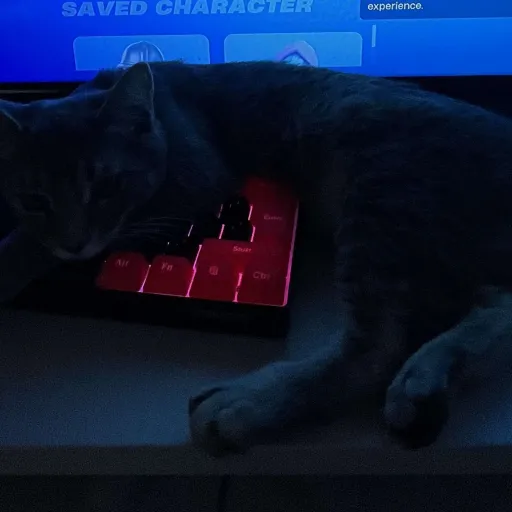 creator †Linn†'s avatar