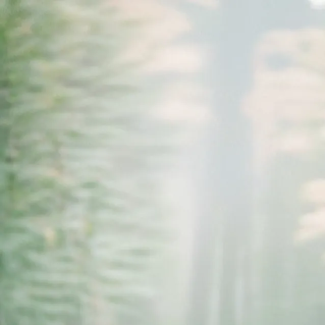 chat with ai character: Deset tan jeep