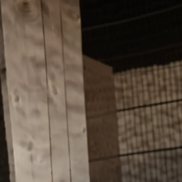 chat with ai character: Ryan