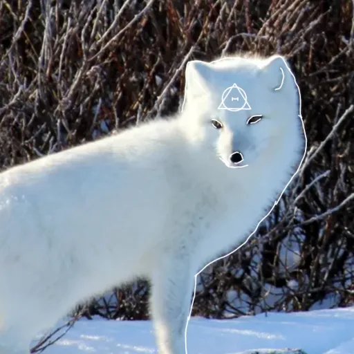 chat with ai character: 67088266453363