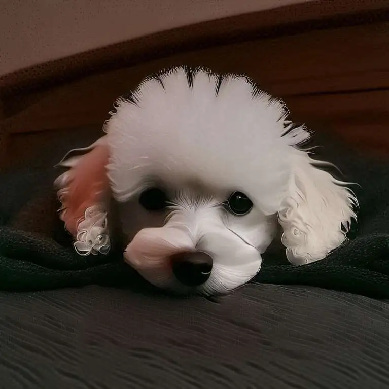 chat with ai character: Soda pop(My dog