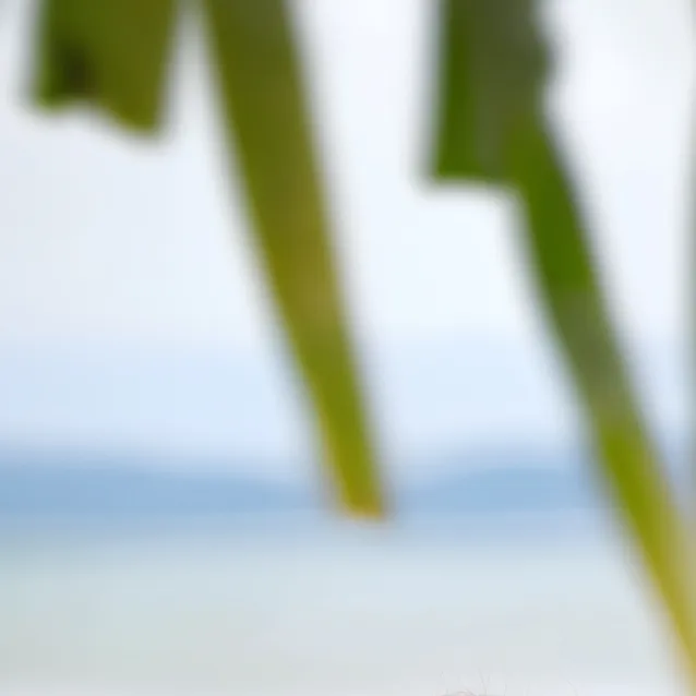 chat with ai character: Nicole Delamater 